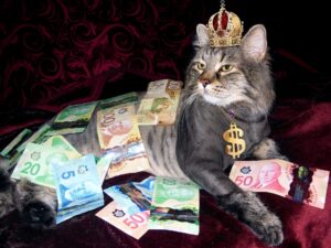 il pet, è un bene di natura economica.